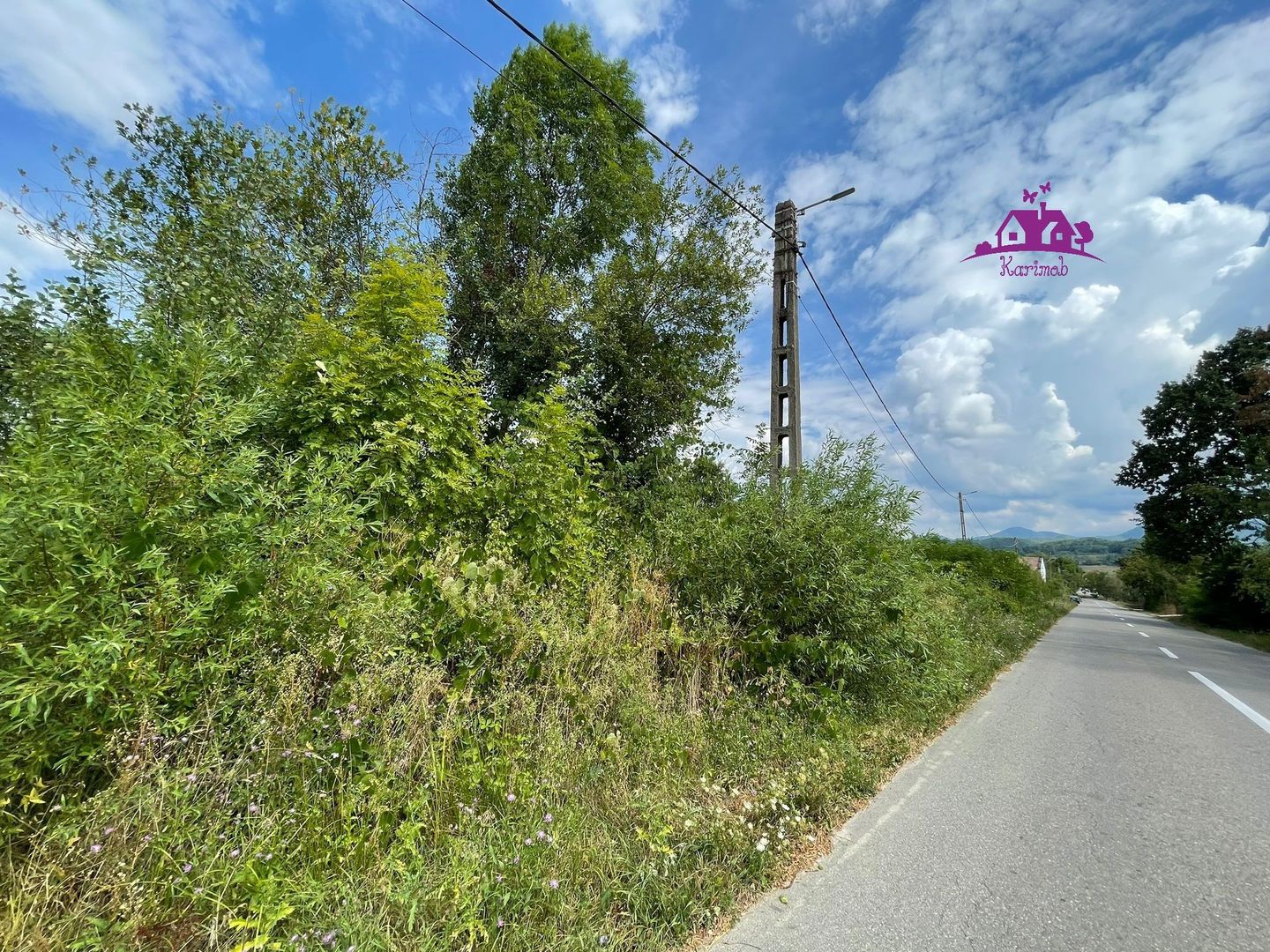 Teren de vanzare in Meziad. - Poză 4