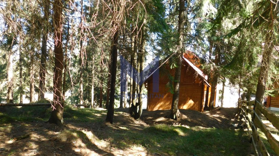 Casă de vacanta de vanzare, in Marisel, langa Cabana Motilor - Poză 19