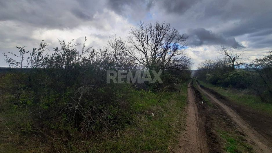 Teren agricol, Boșcana, 20 ari - Poză 2