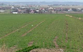 Teren intravilan | Grănicesti | 32 ARI - Poză 4