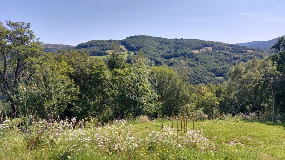 Teren extravilan investiție Rachitele Cluj - 31.555 mp - Poză 7