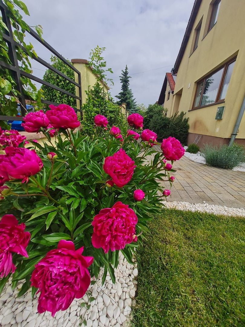 Vila spațioasă și recent renovată în Ghiroda! - Poză 26