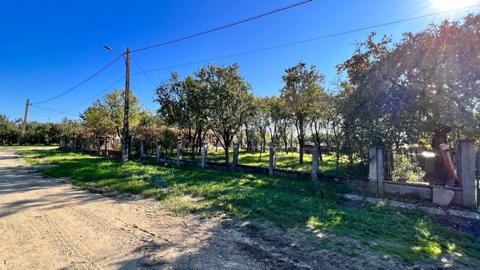 Vând proprietate deosebită, 8 km de Satu Mare – Apateu - Poză 8