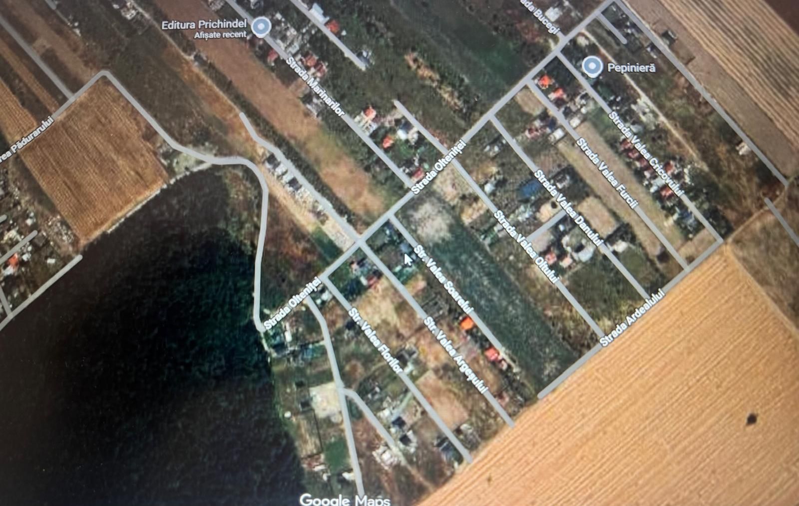 Teren intravilan 13.900 mp I Domnești-Țegheș I Deschidere 139 ml I  Utilități - Poză 3