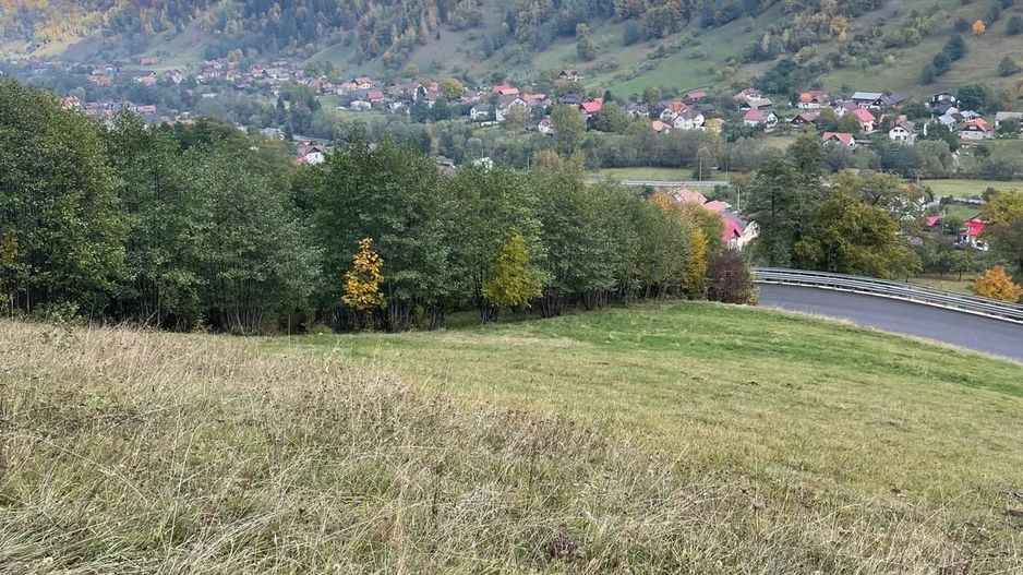 Teren extravilan cu priveliste catre Bucegi – Moieciu de Jos 4.700 mp - Poză 8