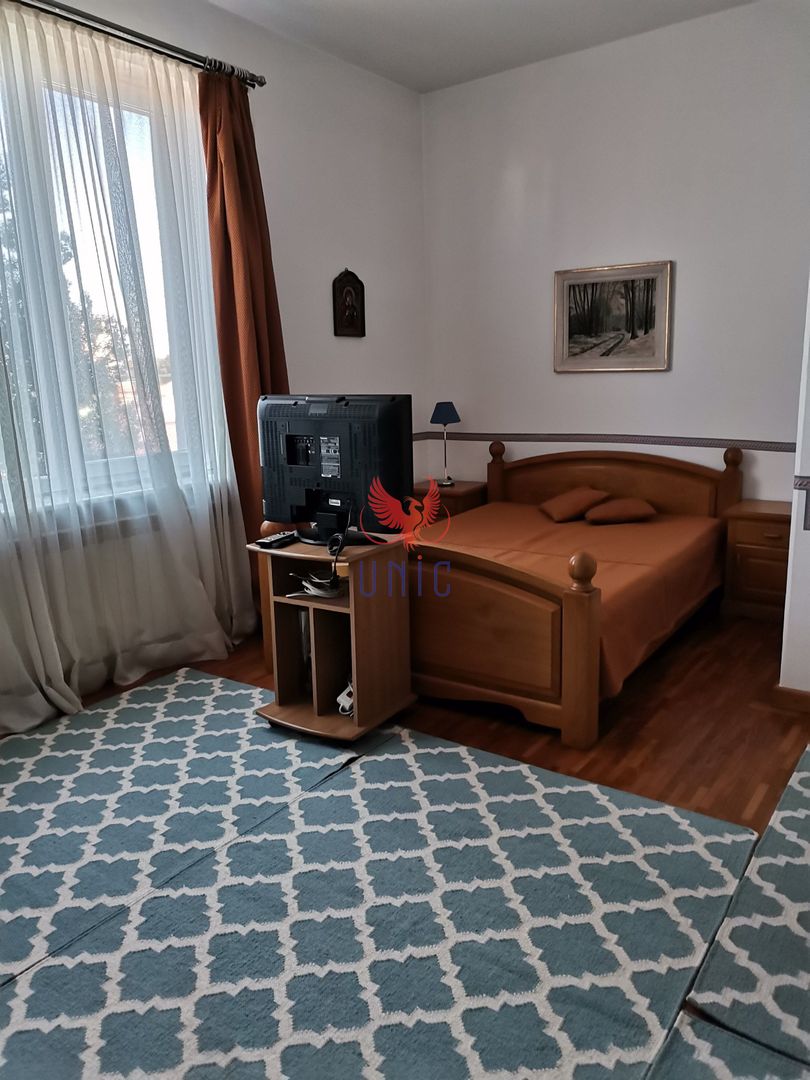 Vila Brazda lui Novac zona Paltinis - Poză 20