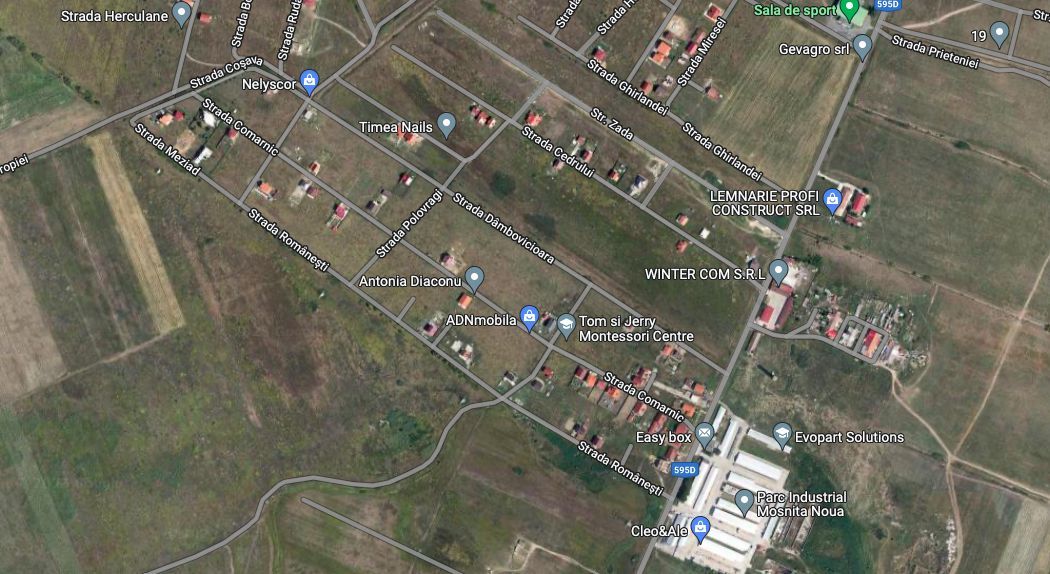 TEREN MOSNITA NOUA SPRE URSENI 752 MP - Poză 2