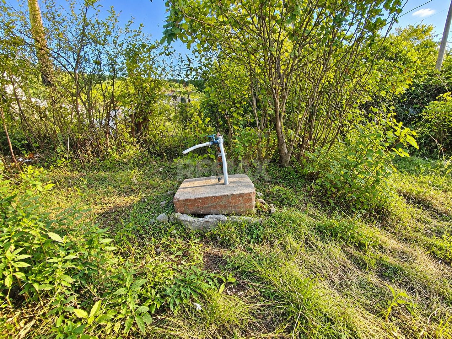 LOT POMICOL DE VÂNZARE – 5,7 ARI | IALOVENI  Î.P. „Floare-Carpet - Poză 7