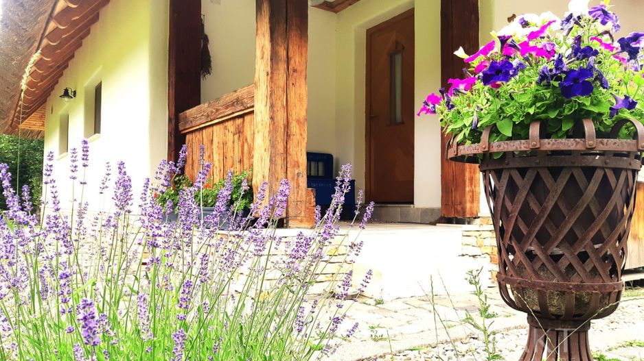 Casa traditionala de vis, aproape de Cluj-Napoca - Poză 4