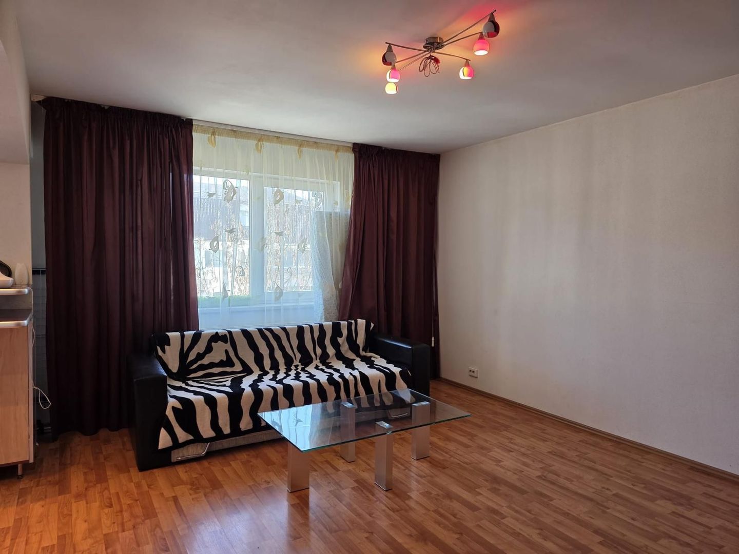 Garsonieră spațioasă Ozana, parcare, centrală proprie, balcon, pet friendly - Poză 4