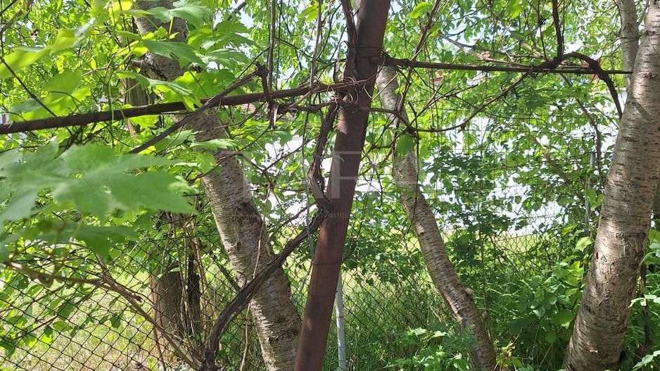 Casă cu 3 camere și teren generos, în Andrei Mureșanu - Poză 5