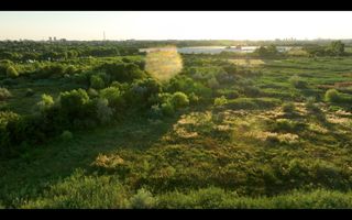 5000mp INTRAVILAN lângă BALTA FLOAREA POPEȘTIULUI - Poză 4