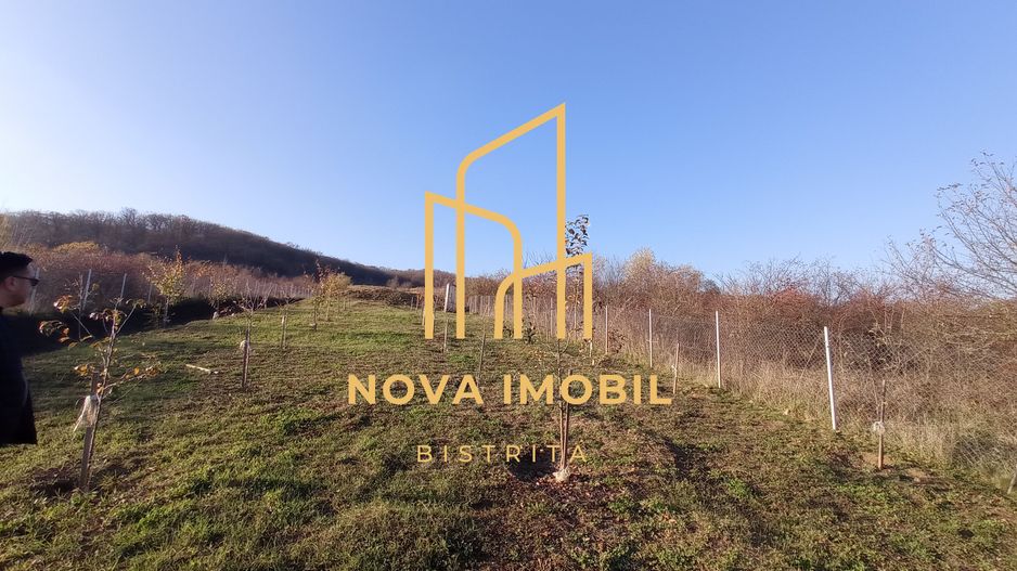 Teren Viisoara 27 ari - Poză 4