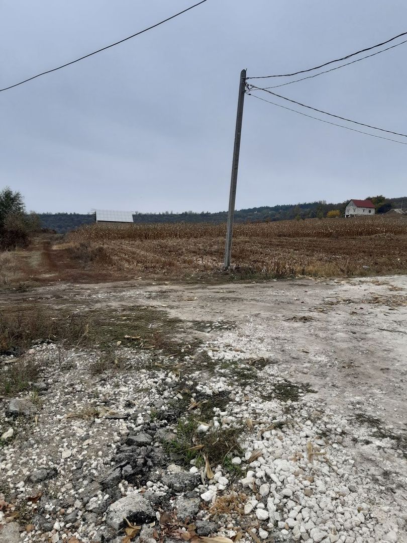 Teren pentru construcții – 7 ari, Zaicana - Poză 3