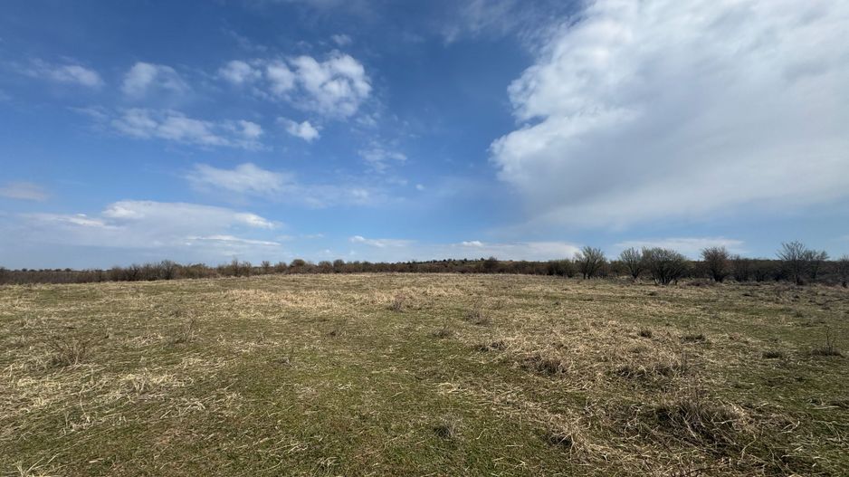 Teren 10262 mp extravilan Episcopia Oradea - Poză 1