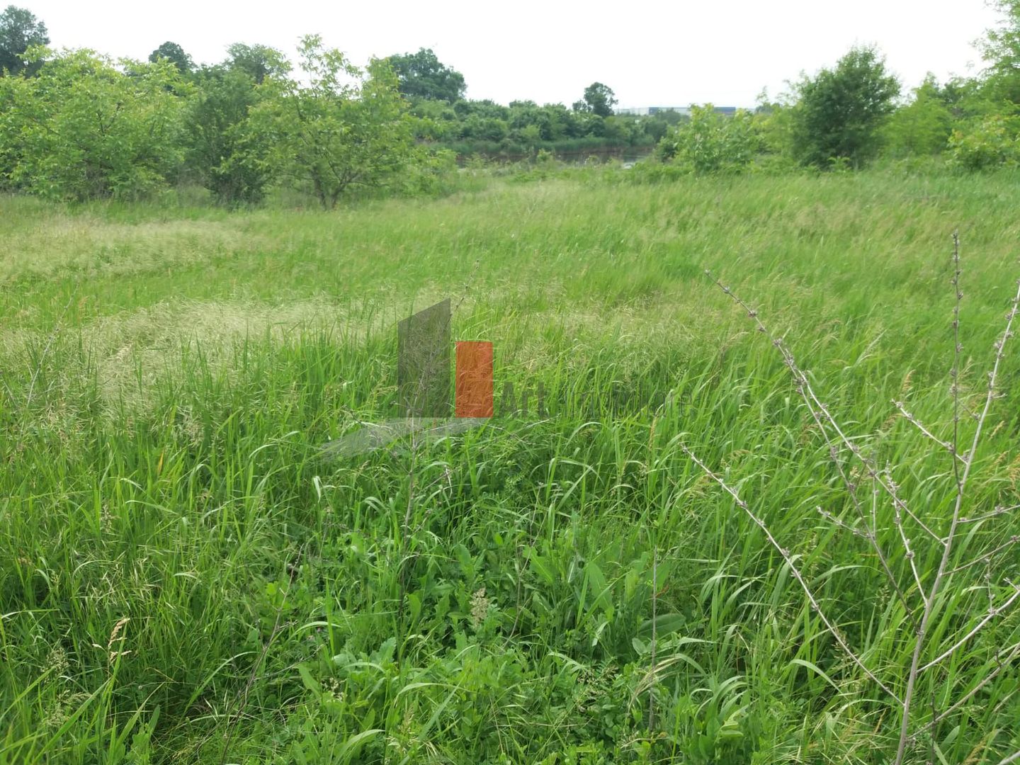 Teren cu iesire la lac - Poză 12