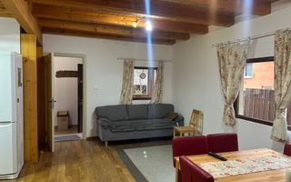 Casă de vacanță în Râu Sadului - Poză 3