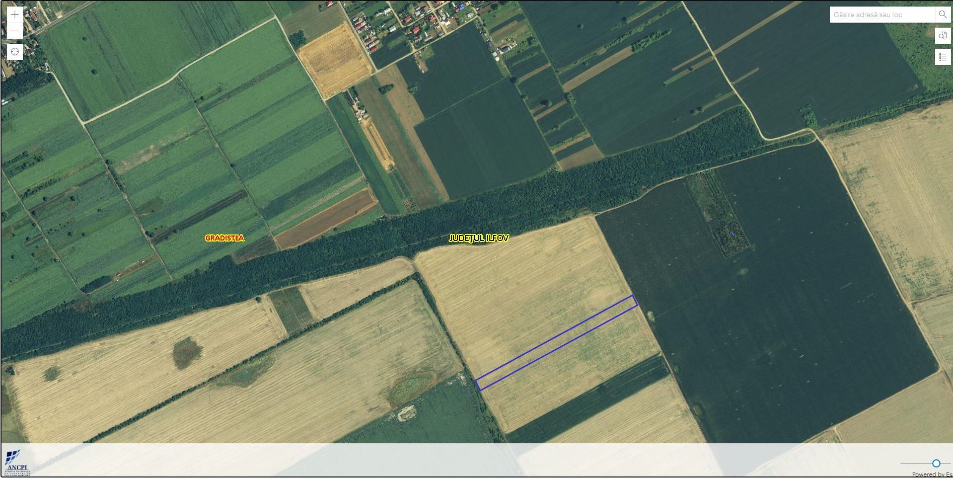 GRADISTEA - Sat Sitaru - Tarla 41, vanzare 14080 mp. teren agricol - Poză 2