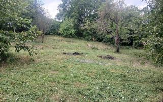 Teren intravilan 1.450 mp cu casă bătrânească și anexă în Podu Iloaiei, Iași - Poză 3