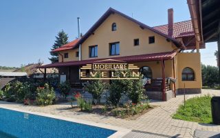 Proprietate deosebita, ocazie de investitie, la 20 km de Botosani - Poză 3