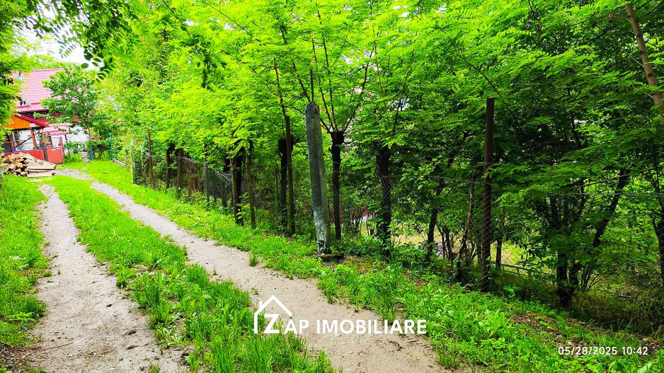 Teren Platou - 1613 mp - cu căbănuță intabulată– vedere panoramica - Poză 7