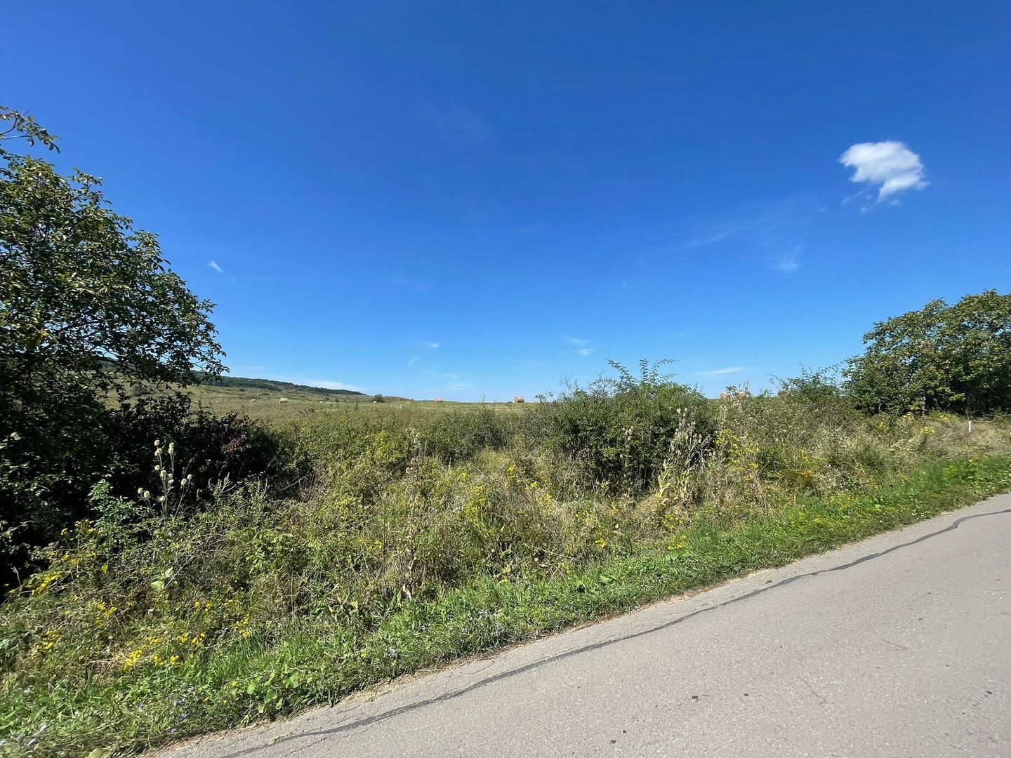 Teren Intravilan | Padureni | Investiție | 27000 mp - Poză 4