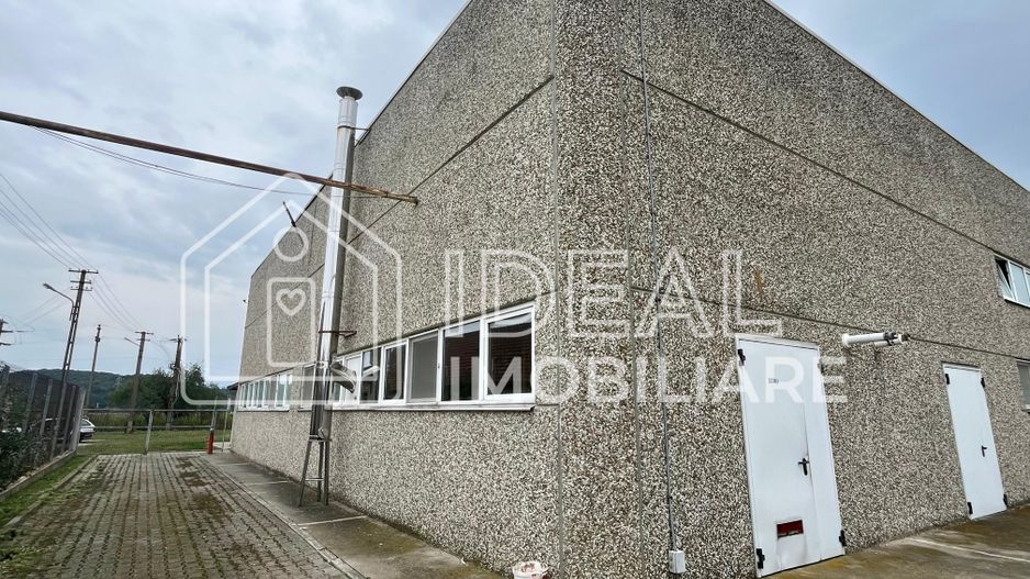 Hala de închiriat – Șelimbăr - Poză 8