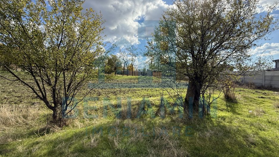 Teren intravilan - 1000mp - utilitati - deschidere mare - Mischii - Poză 5