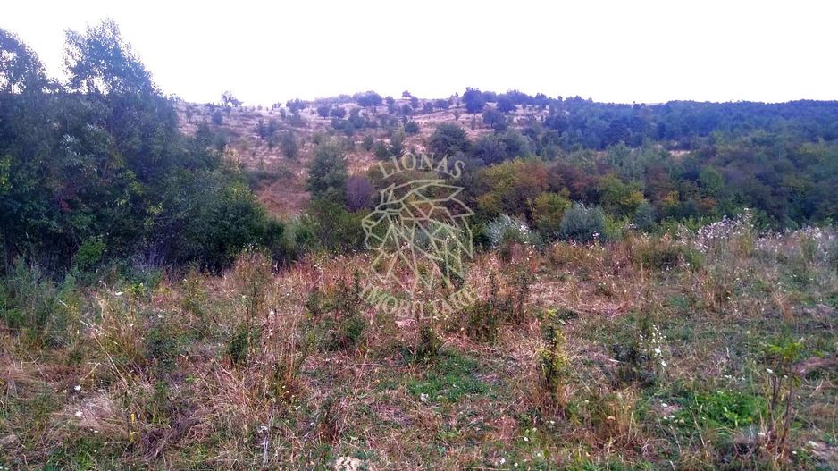 Teren 60 ari - oportunitate investitie - Satu Nou - Poză 3