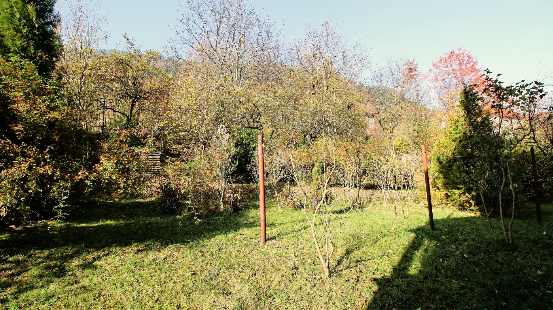 Apartament 3 camere - Poză 11