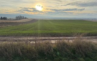 TEREN EXTRAVILAN | E85 | 126.000EURO NEGOCIABIL | - Poză 10