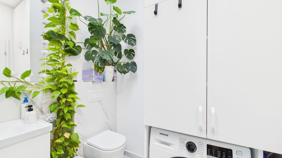 Duplex 1/2 mobilat şi utilat în Săcălaz - Poză 9