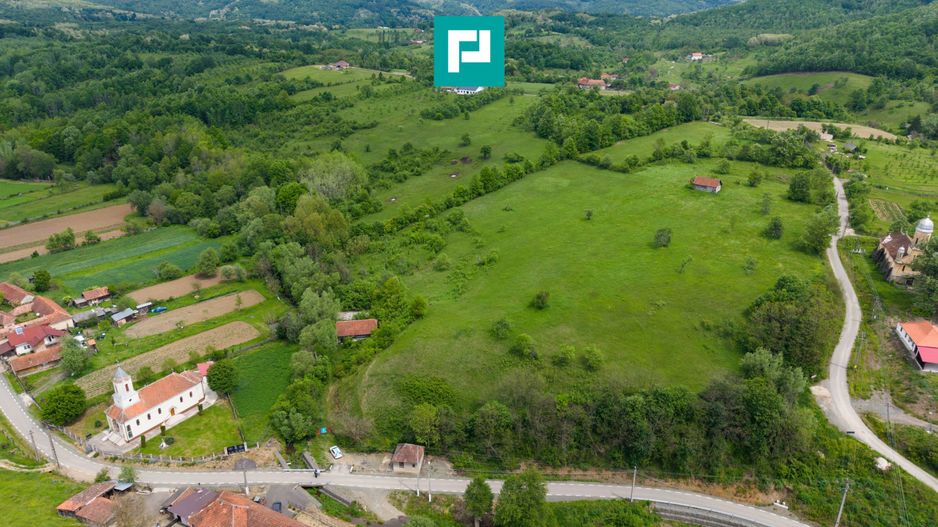 Proprietate de poveste pe Valea Mureșului, Lupești - Poză 9