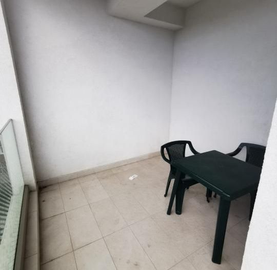 Ion Mihalache- Pta 1 Mai - Victoriei - Poză 7