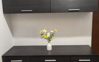 Apartament 2 camere de închiriat Brâncoveanu - Poză 7