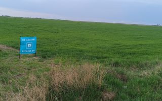 Teren extravilan 5 hectare ( zonă industrială ) Șag - Poză 14