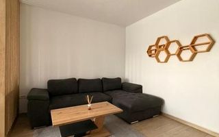 Apartament 2 camere | Lift | Ciarda Rosie - Poză 2