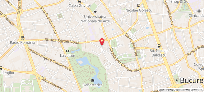 Locație CV Broker Team