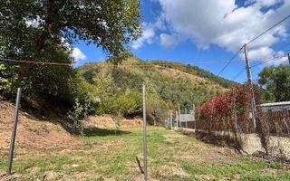 Teren intravilan de vânzare | Râu Sadului | 800 mp - Poză 2