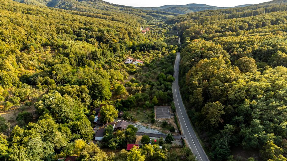 Valea Arinilor pensiune Arăneag - Poză 2