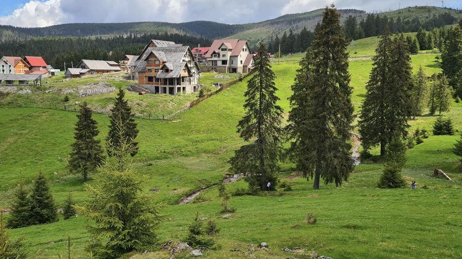 Pensiune Padis 10 camere - Poză 4