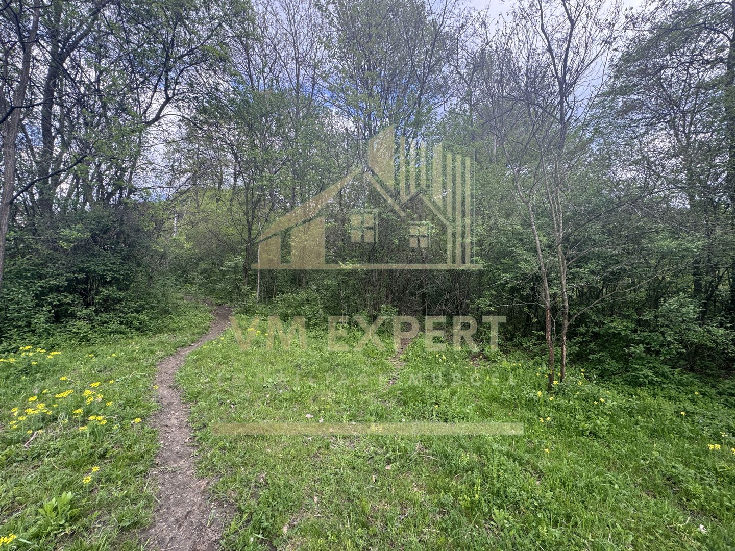 TEREN INTRAVILAN 7018 MP CAMPULUNG - Poză 27