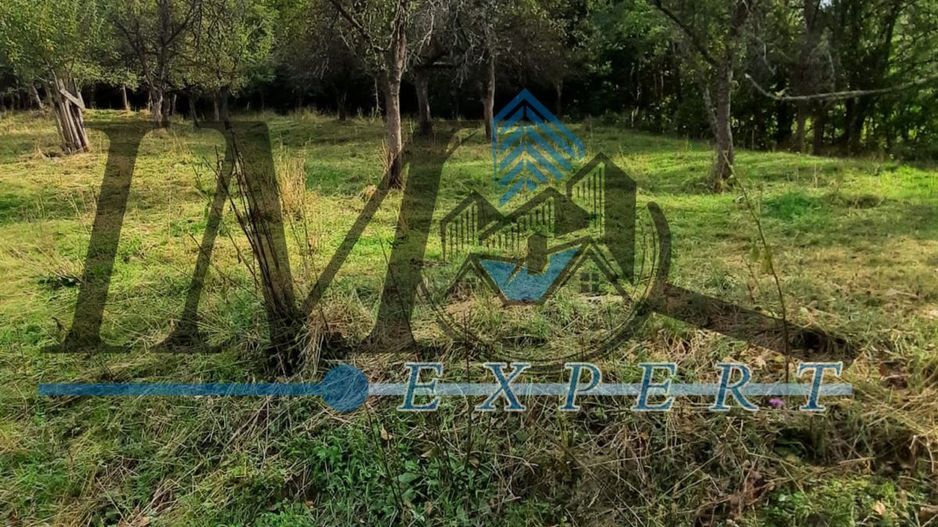 Casa de vanzare Cib jub Alba - Poză 4