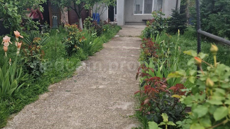 Vanzare Casa P+1 Magurele - Poză 1