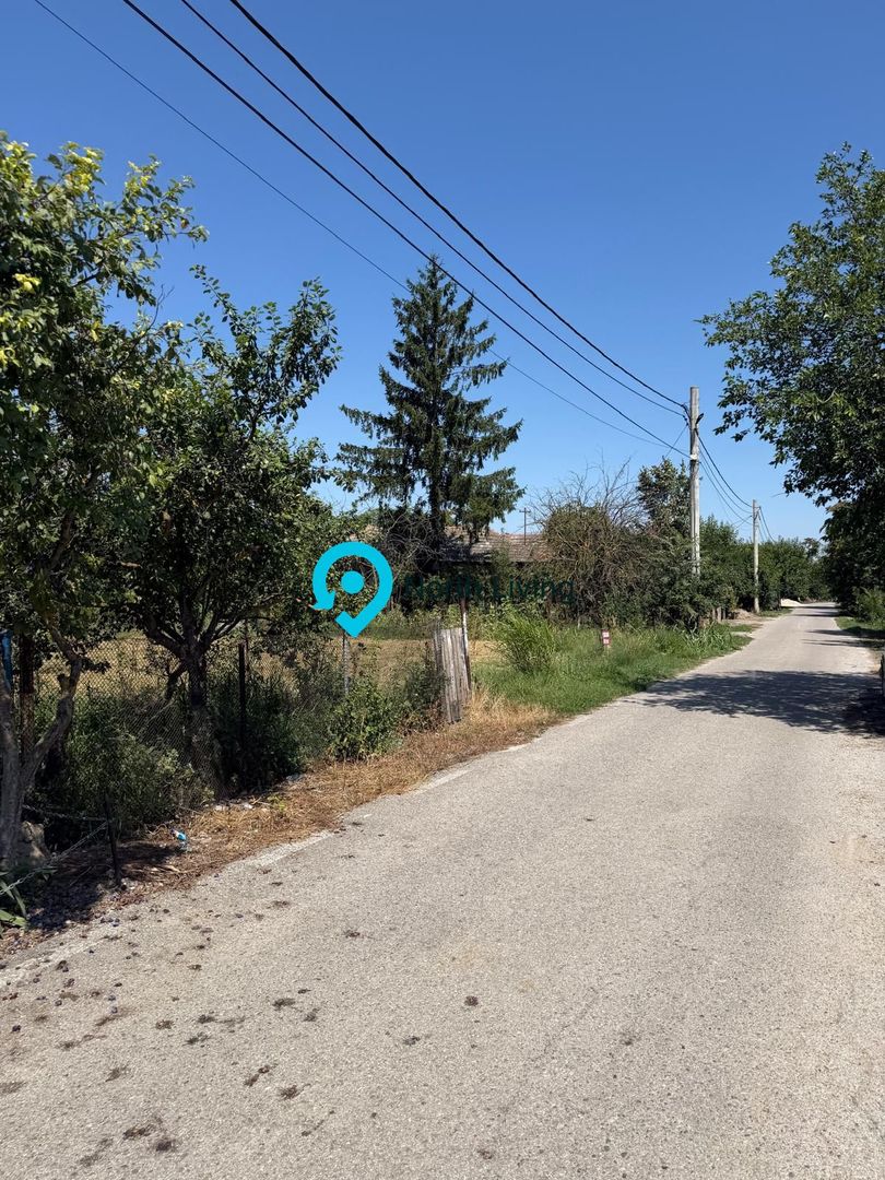 Teren intravilan 4.000 mp Comana (Budeni) | 10 €/mp negociabil | Comis - Poză 3