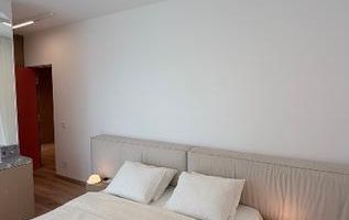 APARTAMENT PREMIUM | DESIGN SUPERB | PRIMA VISTA - Poză 8