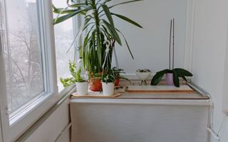 Apartament cu 2 camere in zona Turda - Poză 5