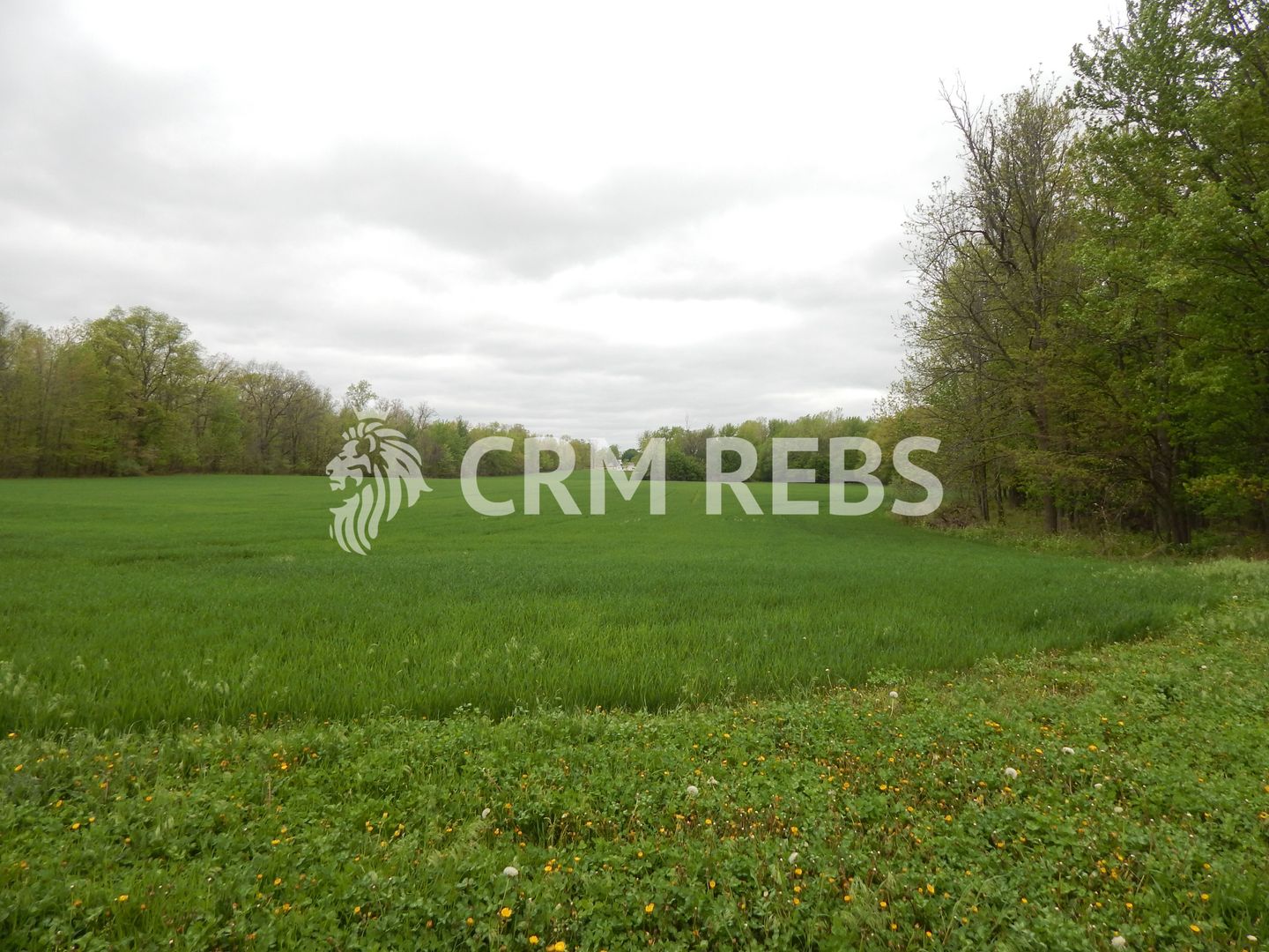 Teren in zona buna de vanzare - Poză 2