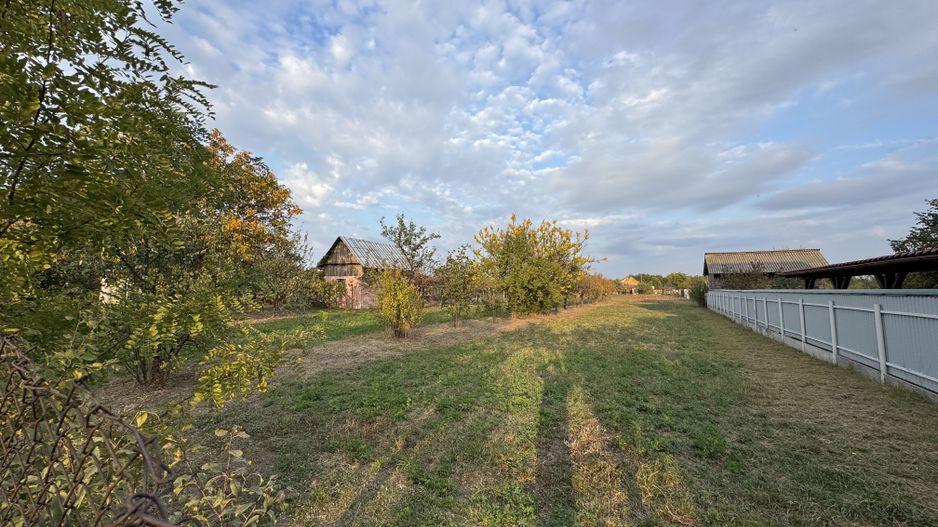 Teren Intravilan Becicherecu Mic In Vatra Satului,1104 mp,Fs. 14m - Poză 4