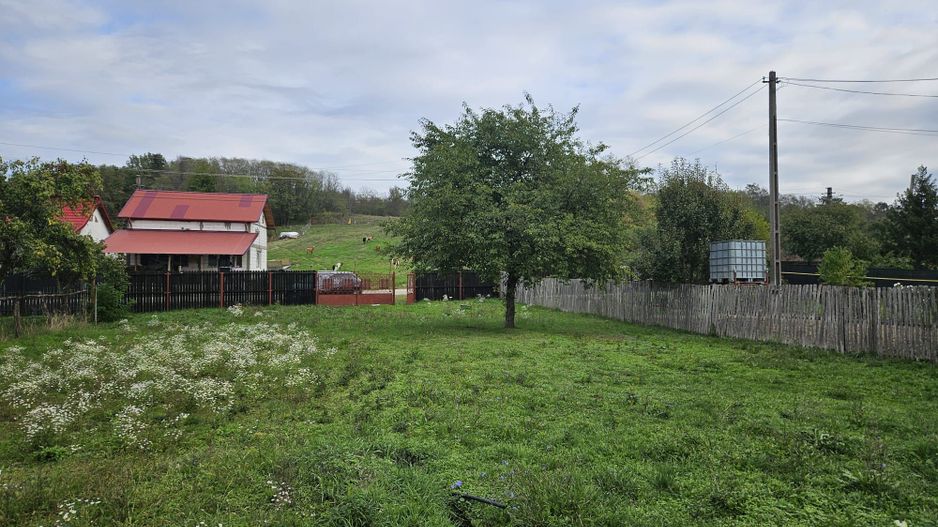 Casă de Vânzare în Albota, Sat Mareș – Liniște și Natură la Doar 10 Km - Poză 4